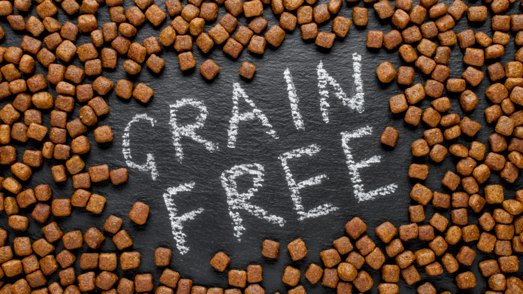 grain free cat food