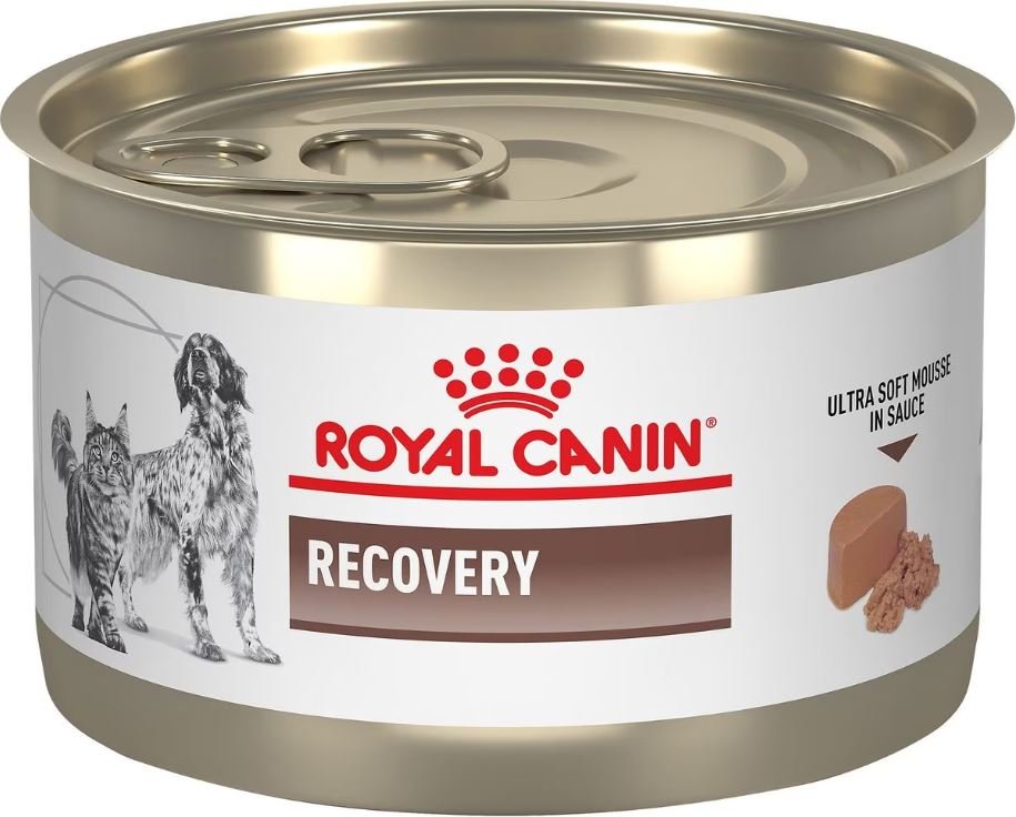 Royal Canin Veterinary Diet Recovery